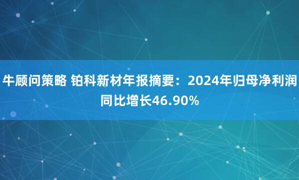 牛顾问策略 铂科新材年报摘要：2024年归母净利润同比增长46.90%