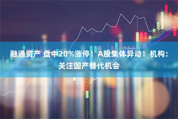 融通资产 盘中20%涨停！A股集体异动！机构：关注国产替代机会