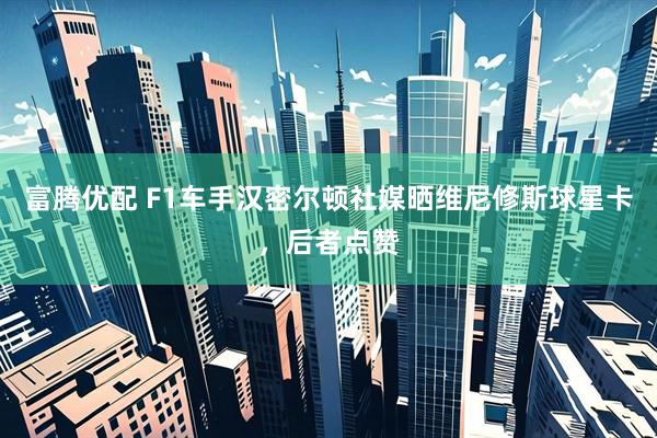 富腾优配 F1车手汉密尔顿社媒晒维尼修斯球星卡，后者点赞
